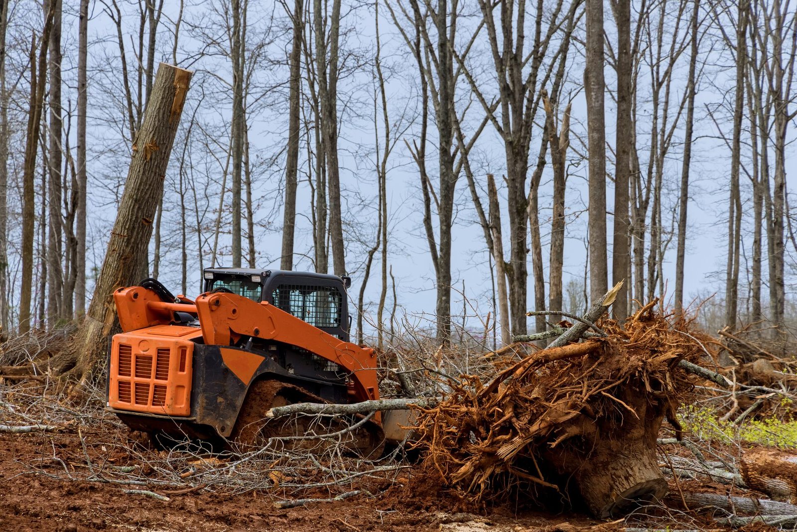 Forestry mulching equipment clearing brush