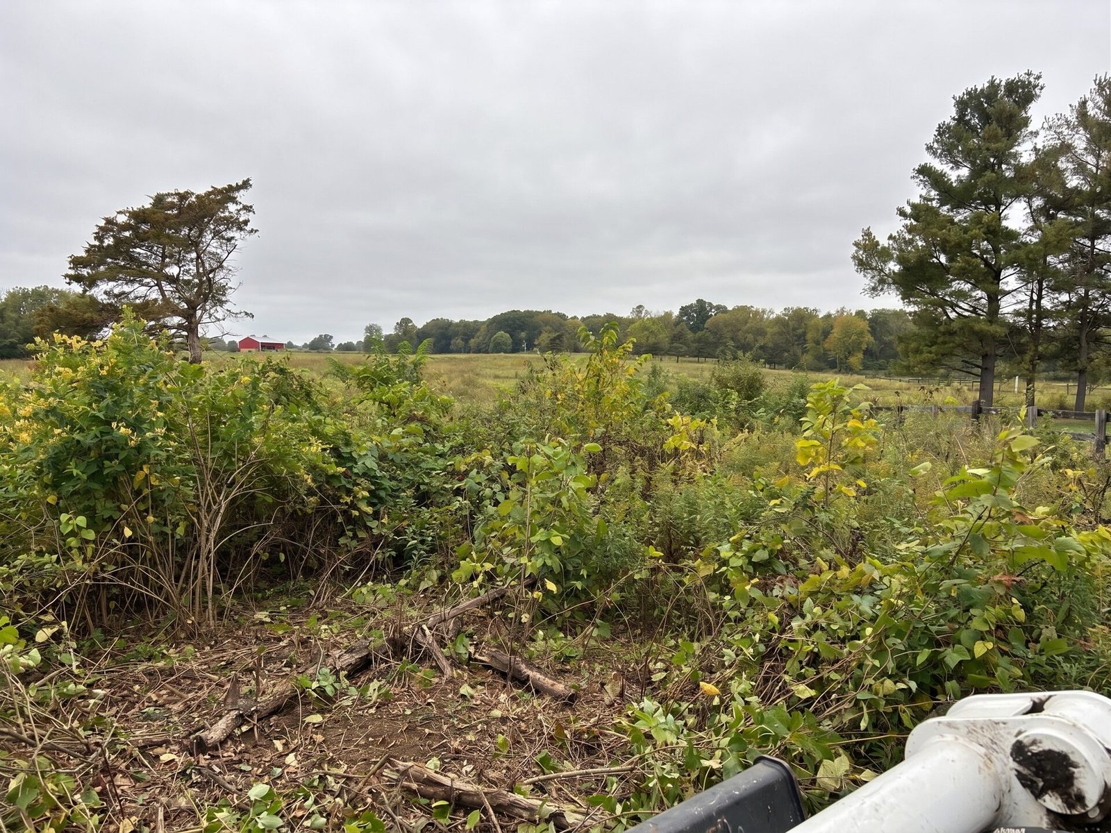 Brush Cleanup before