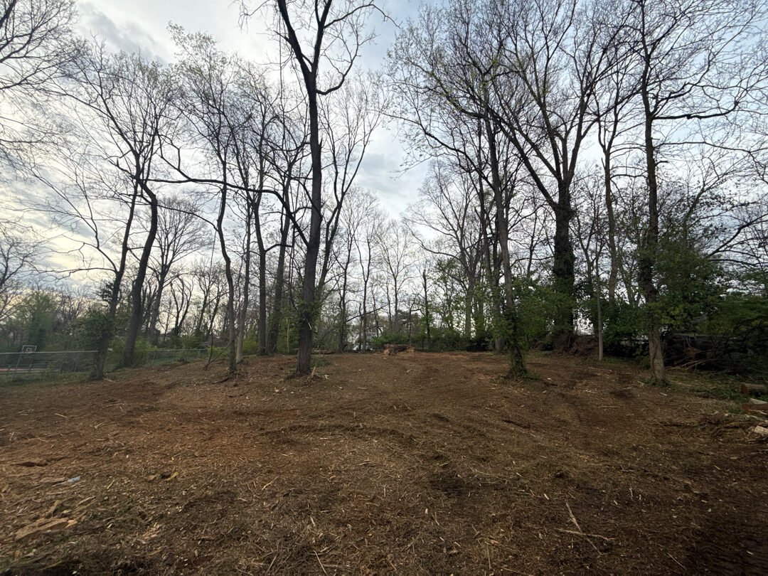 Right-of-Way Clearing after clearing