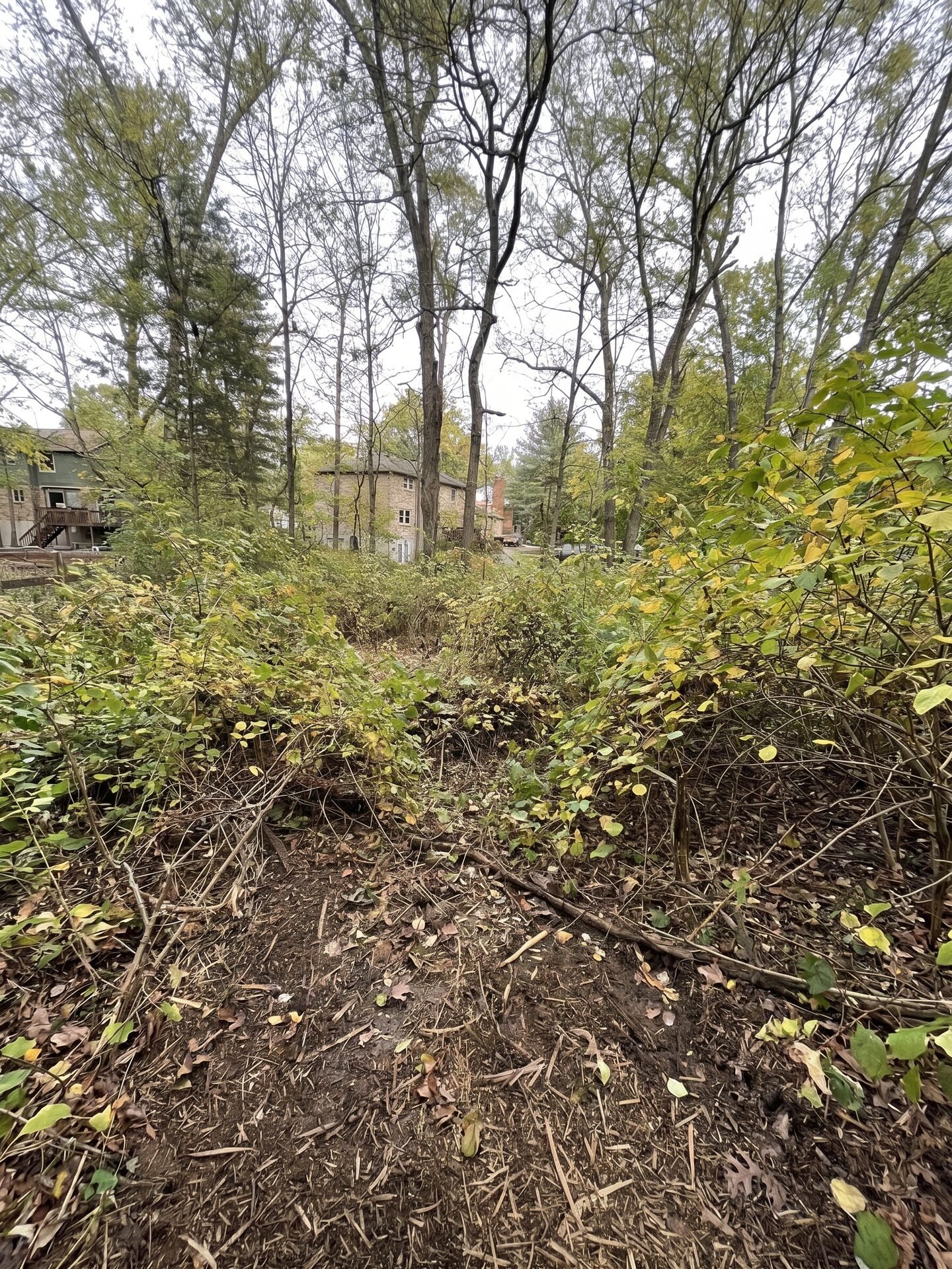 Brush Cleanup before