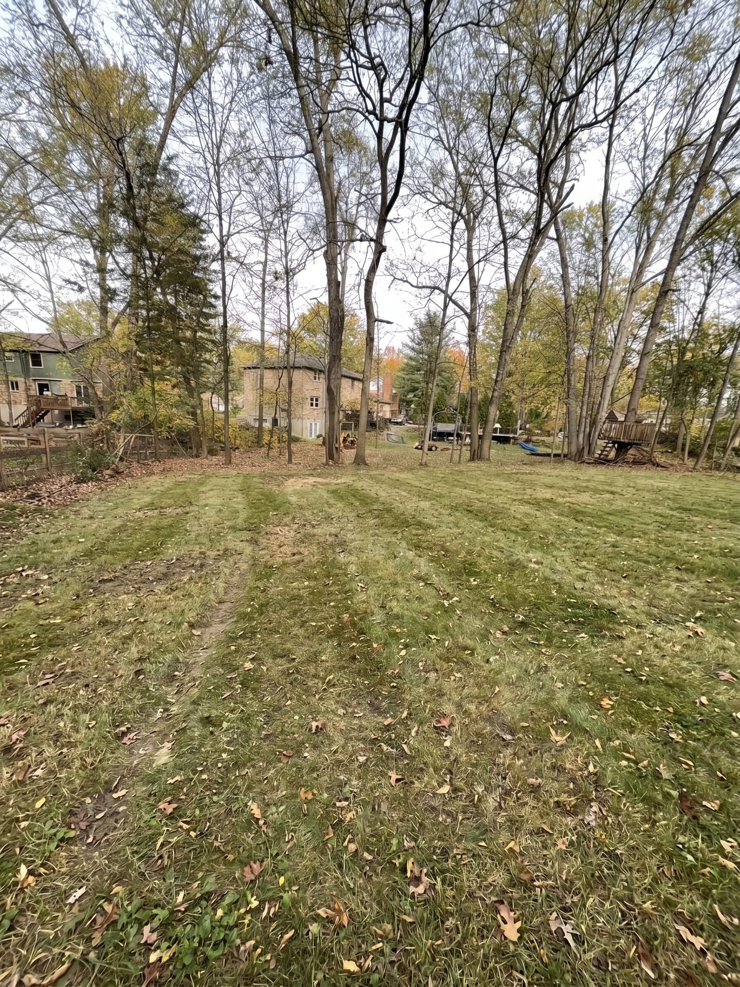 Brush Cleanup maintained
