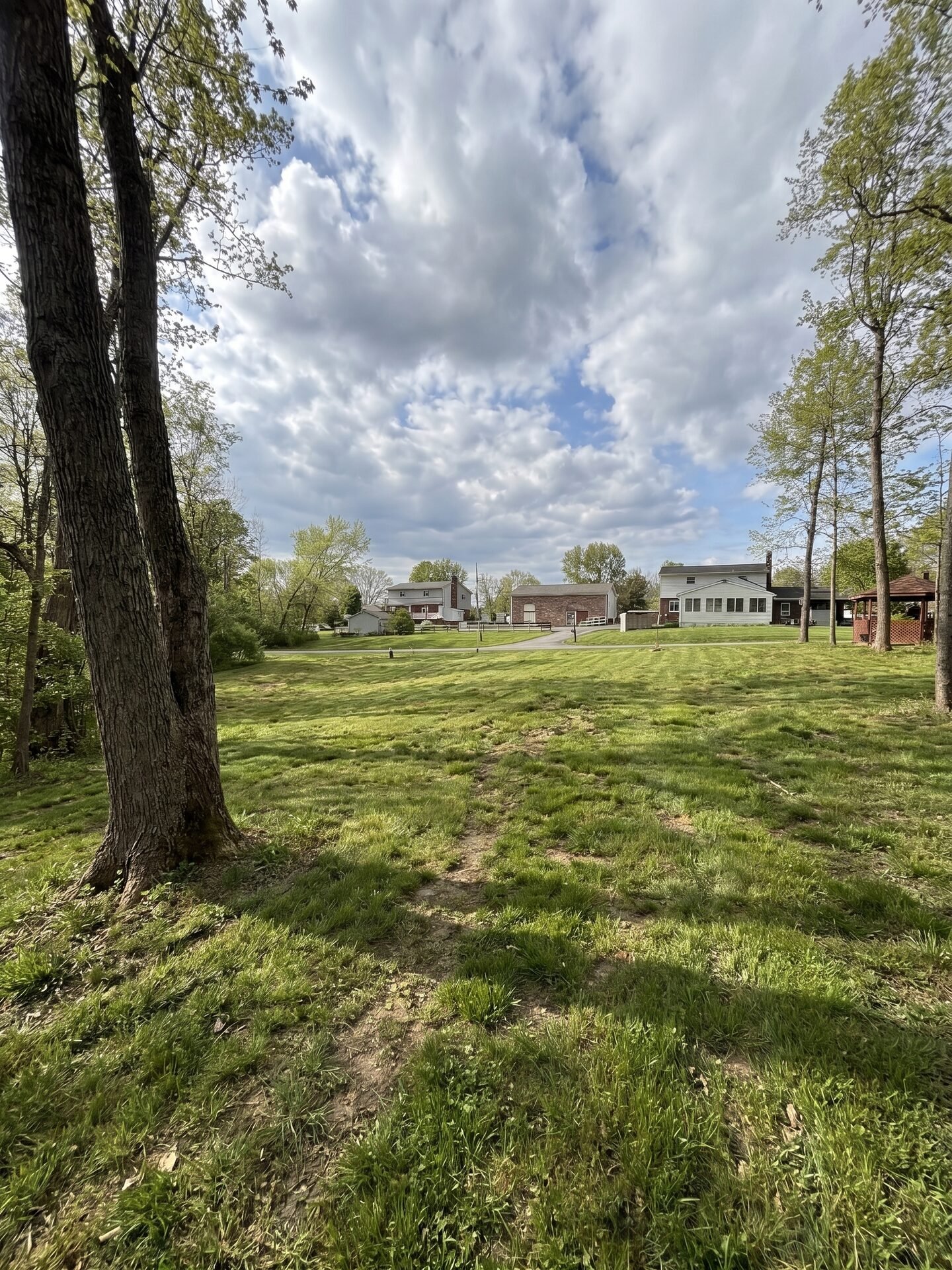 Stump Grinding maintained