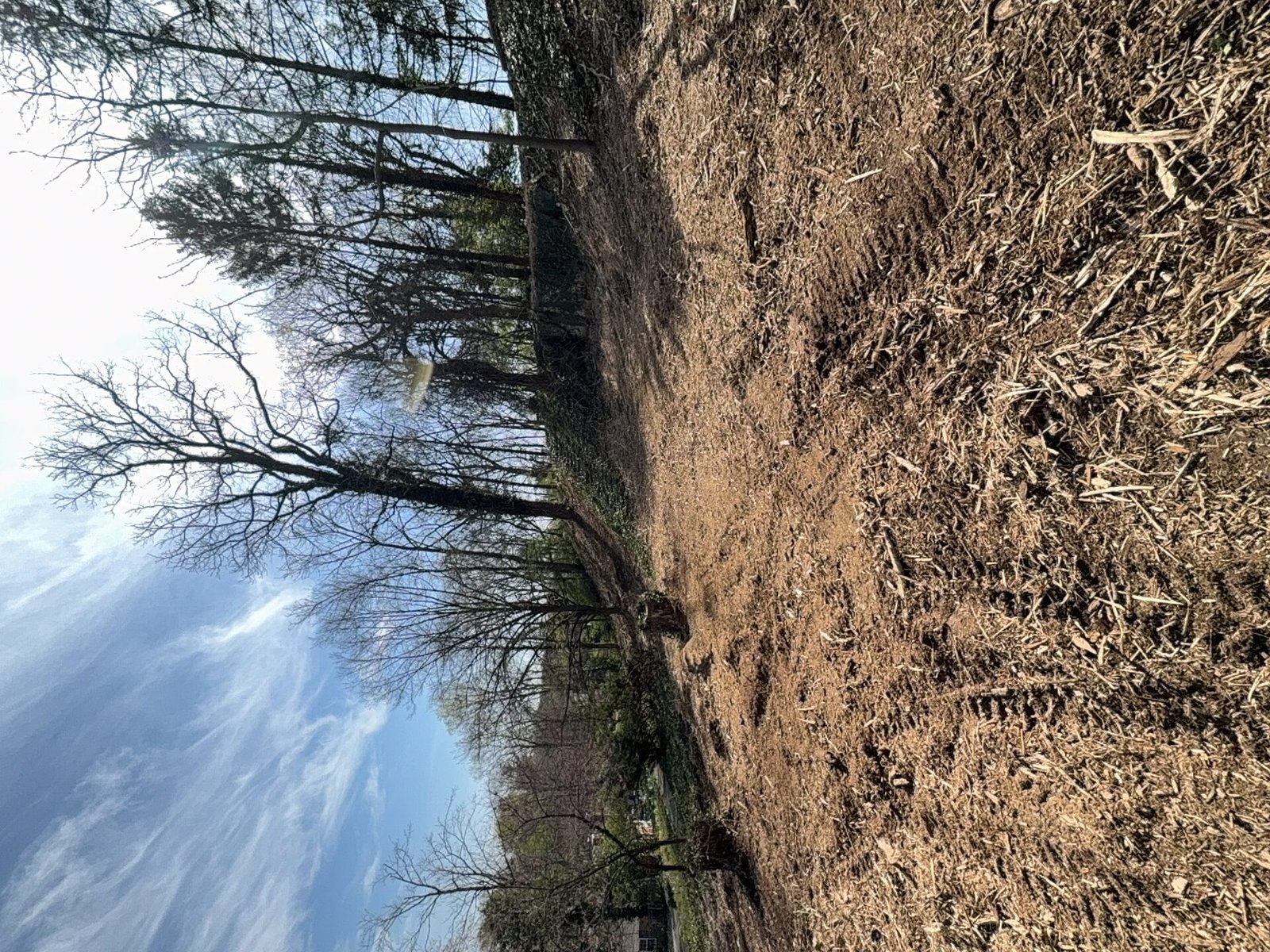 Food Plot Preparation after clearing