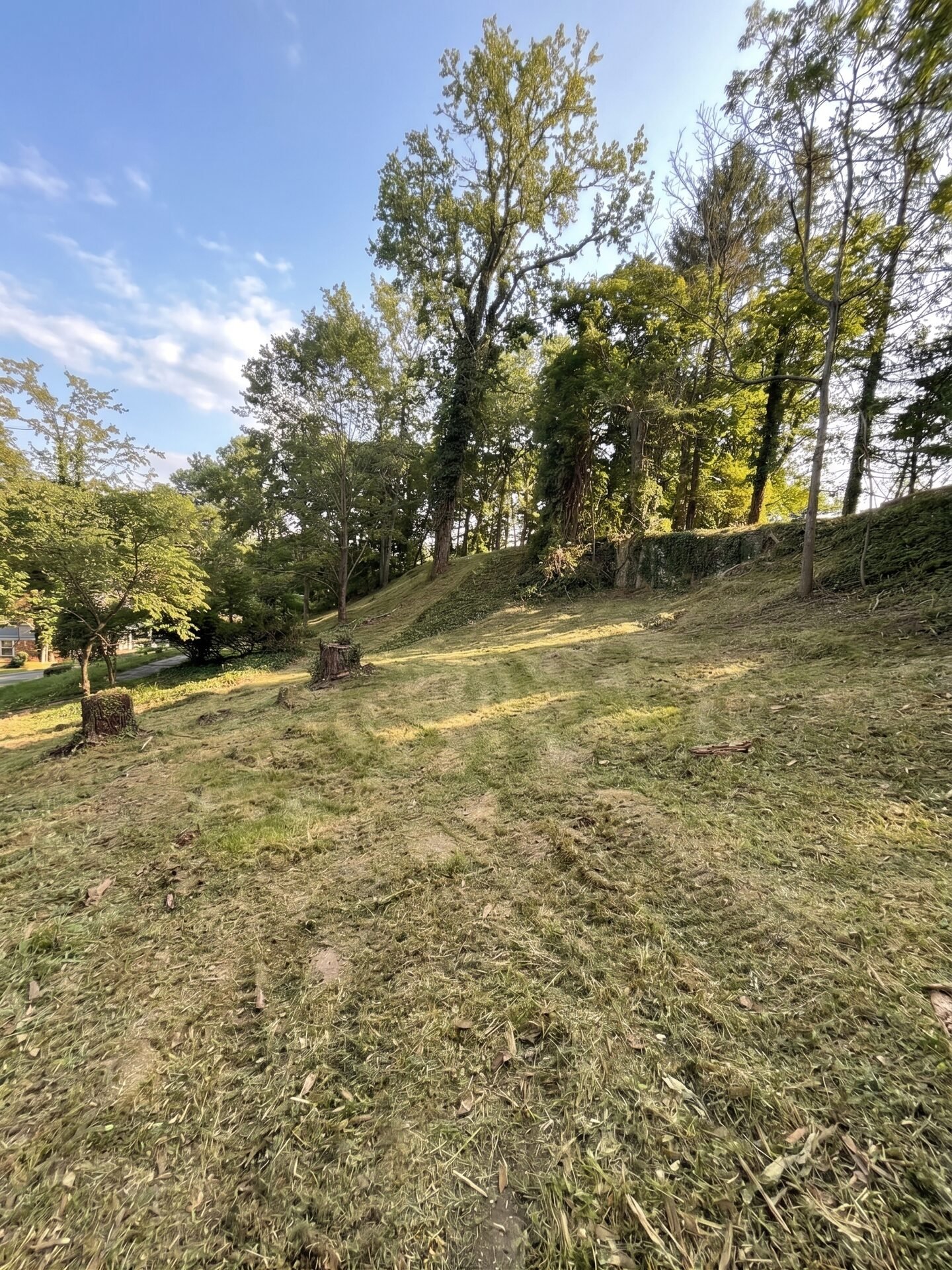 Food Plot Preparation maintained