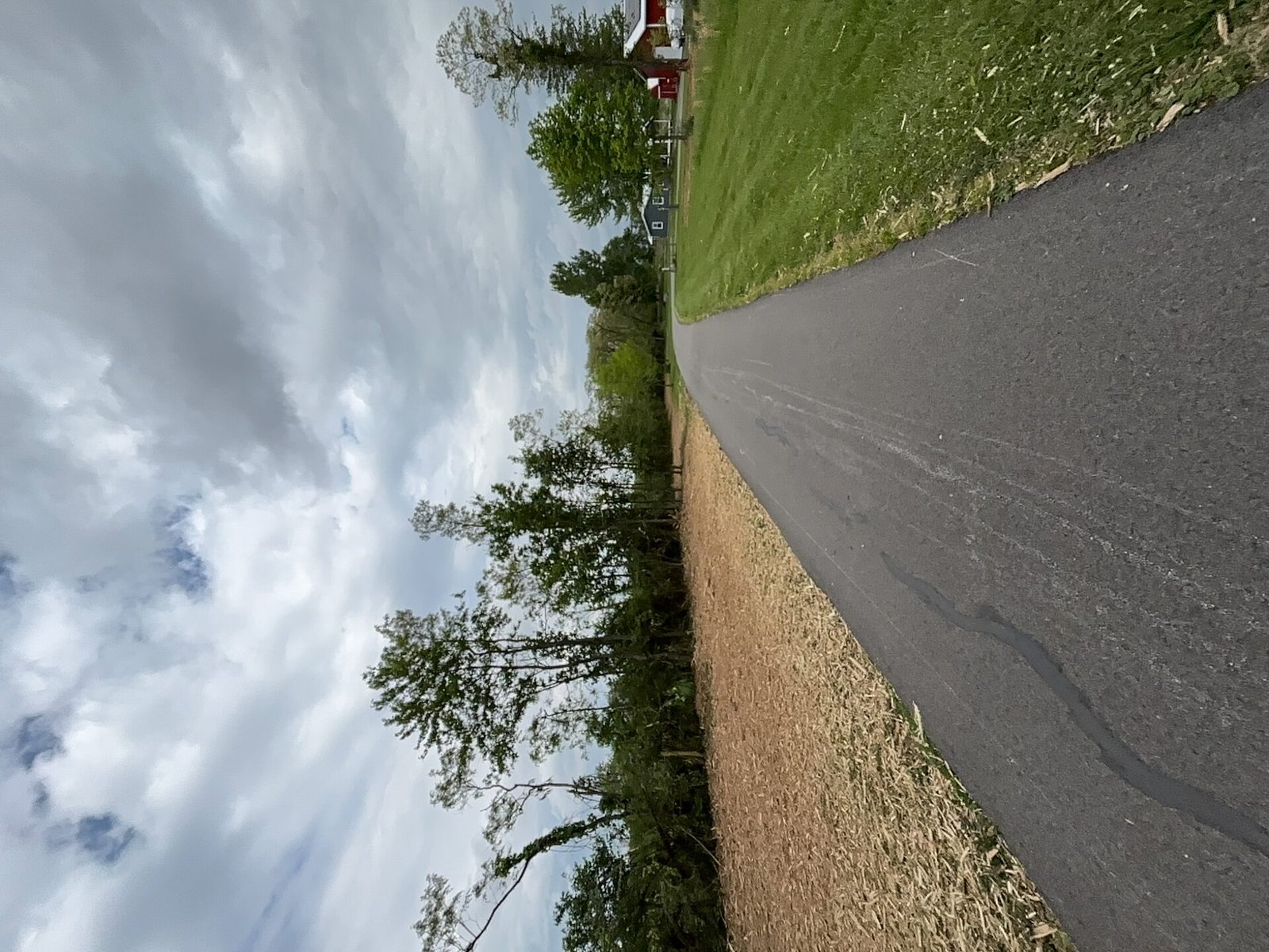 Right-of-Way Clearing after clearing