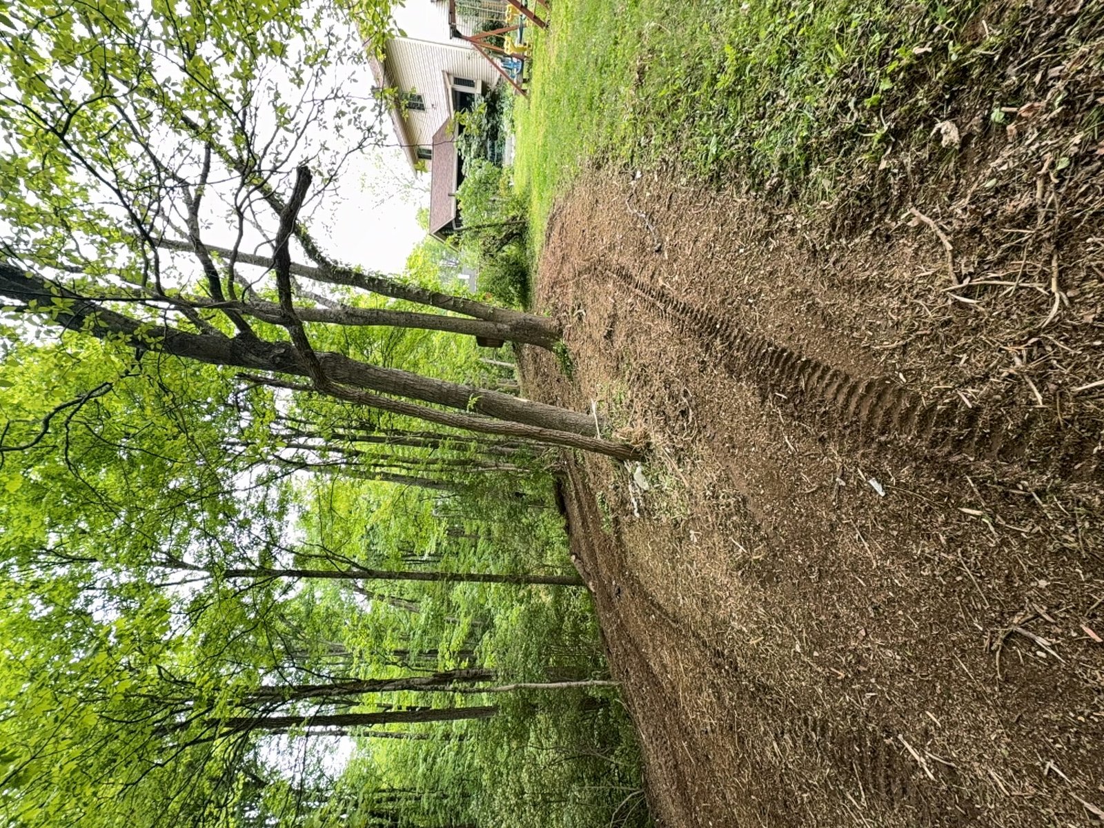 Brush Cleanup after clearing