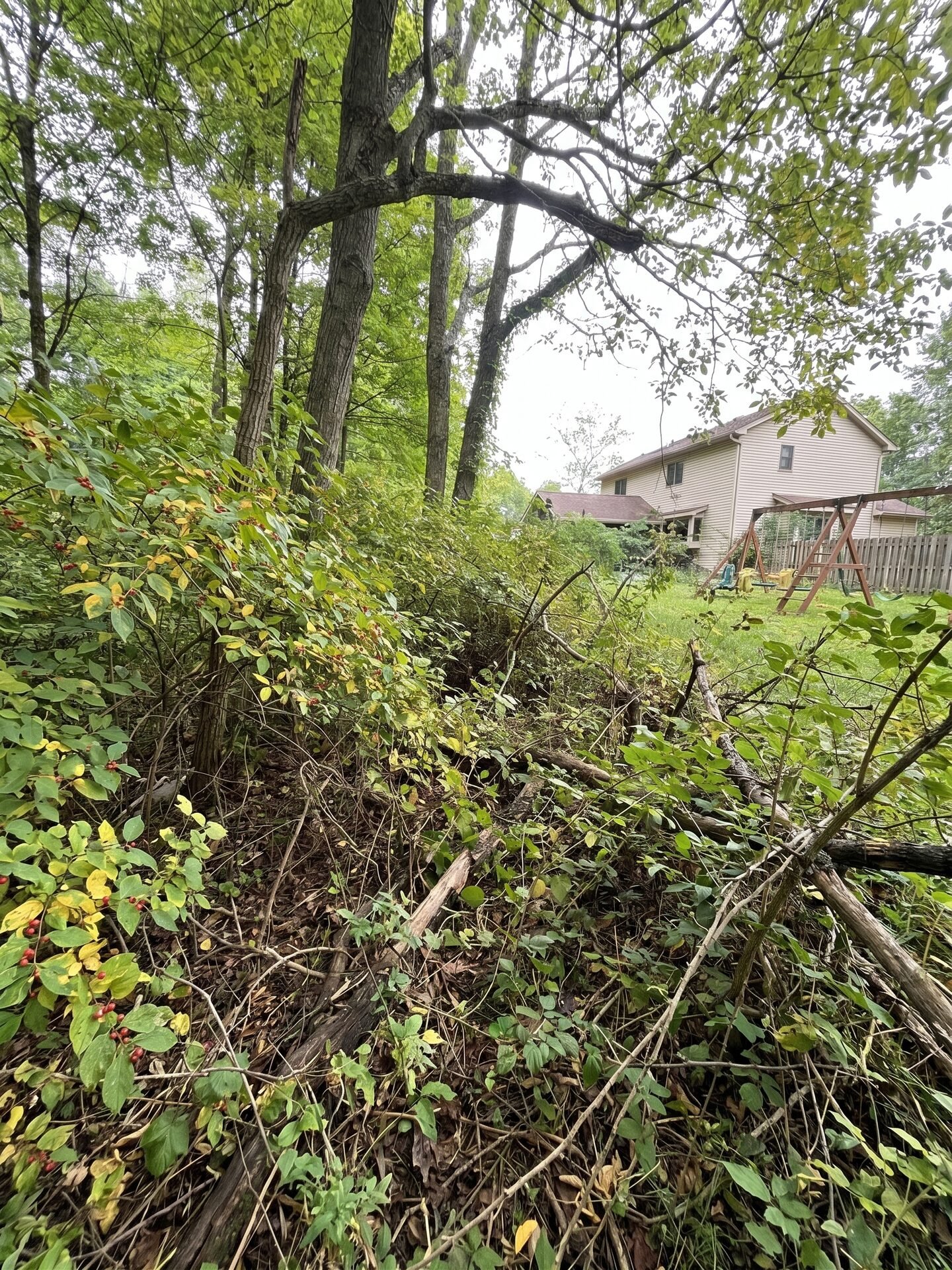 Brush Cleanup before