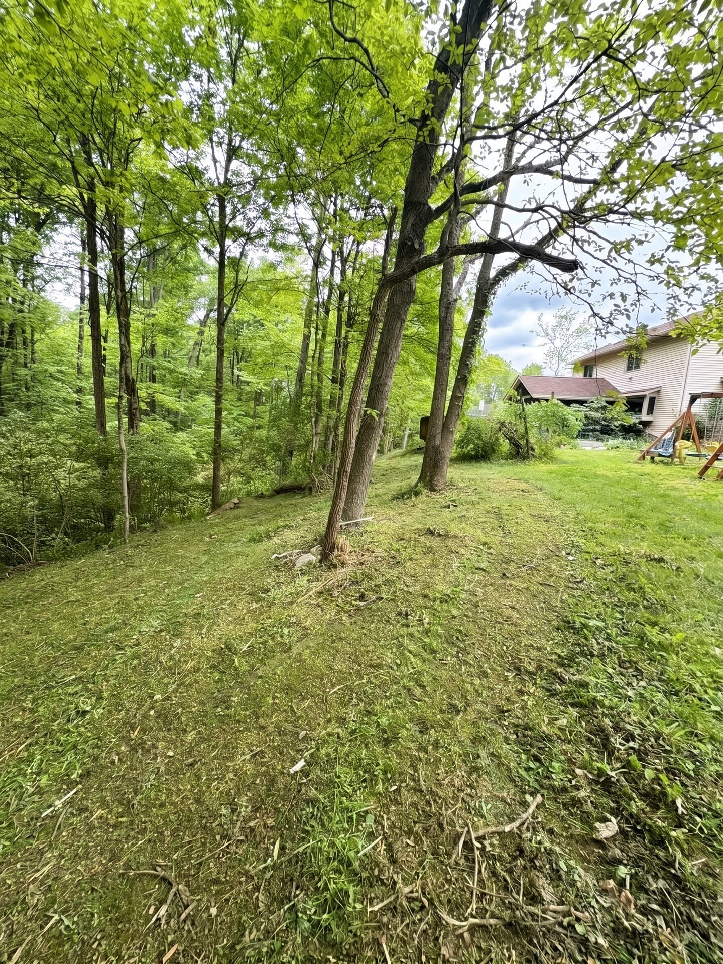 Brush Cleanup maintained