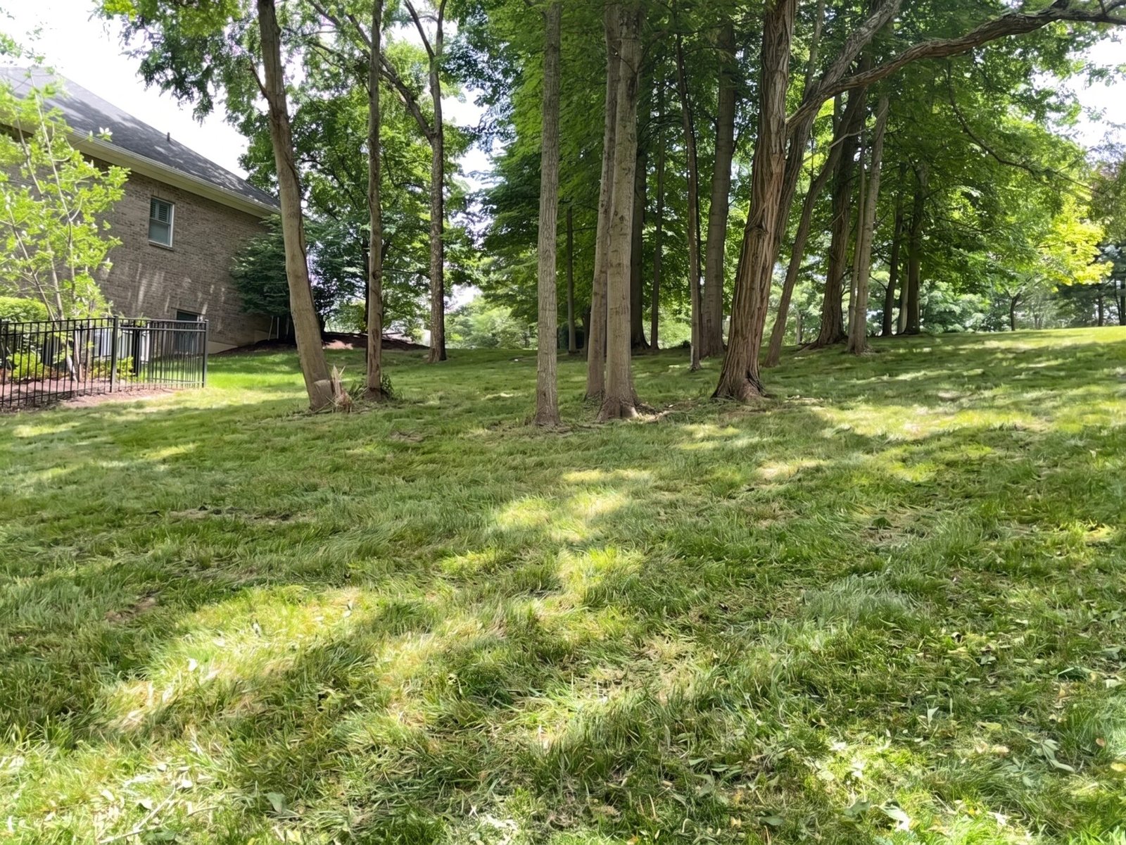 Bush Hogging maintained