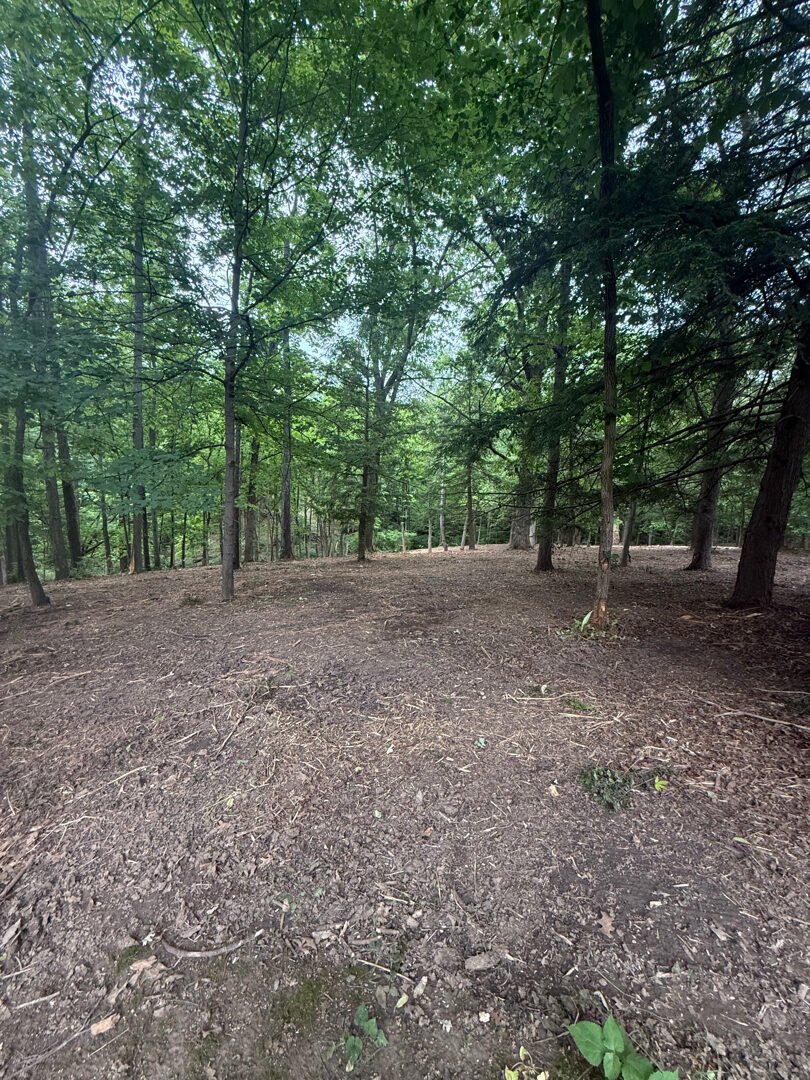 Property after clearing