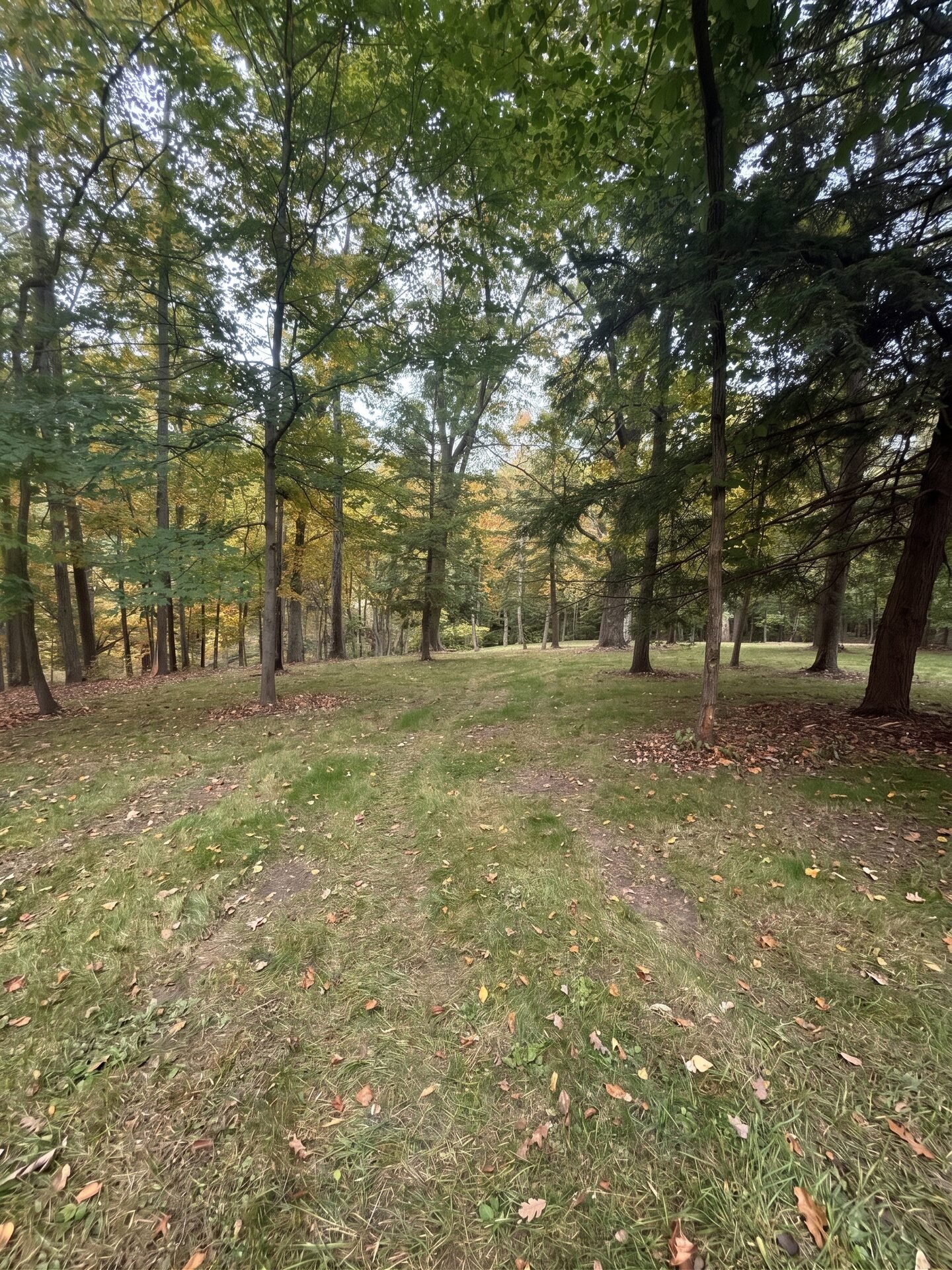Property maintained after clearing