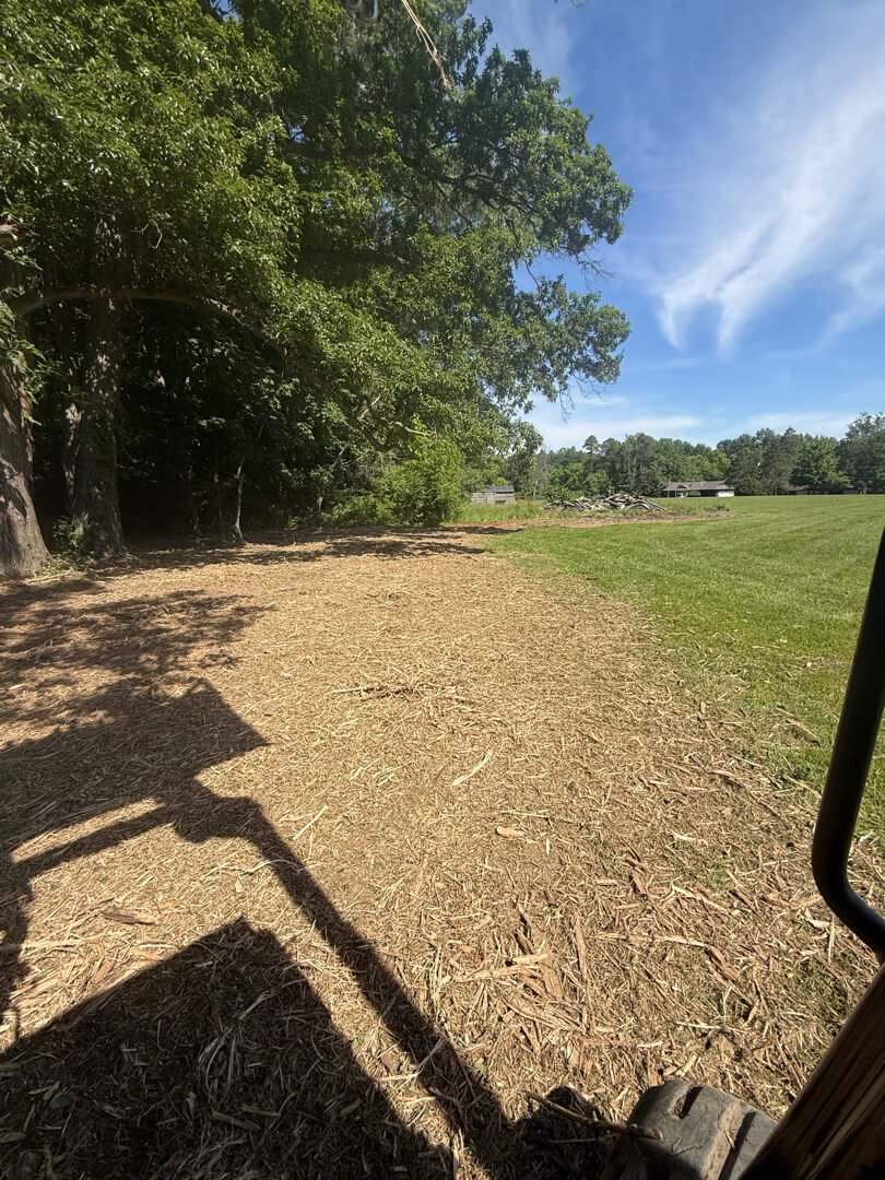 Right-of-Way Clearing after clearing