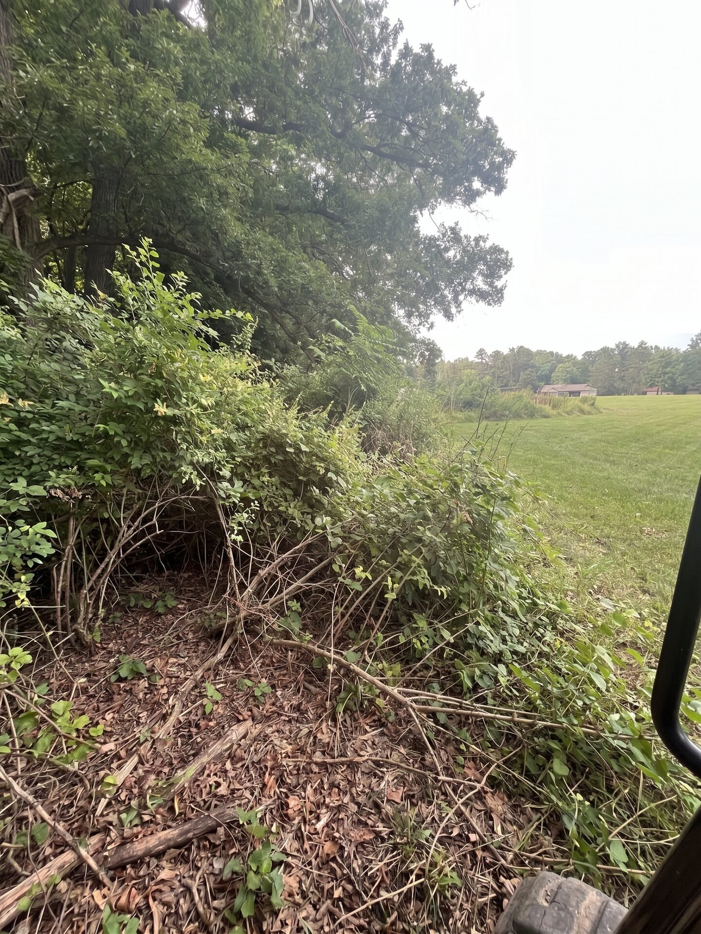 Right-of-Way Clearing before