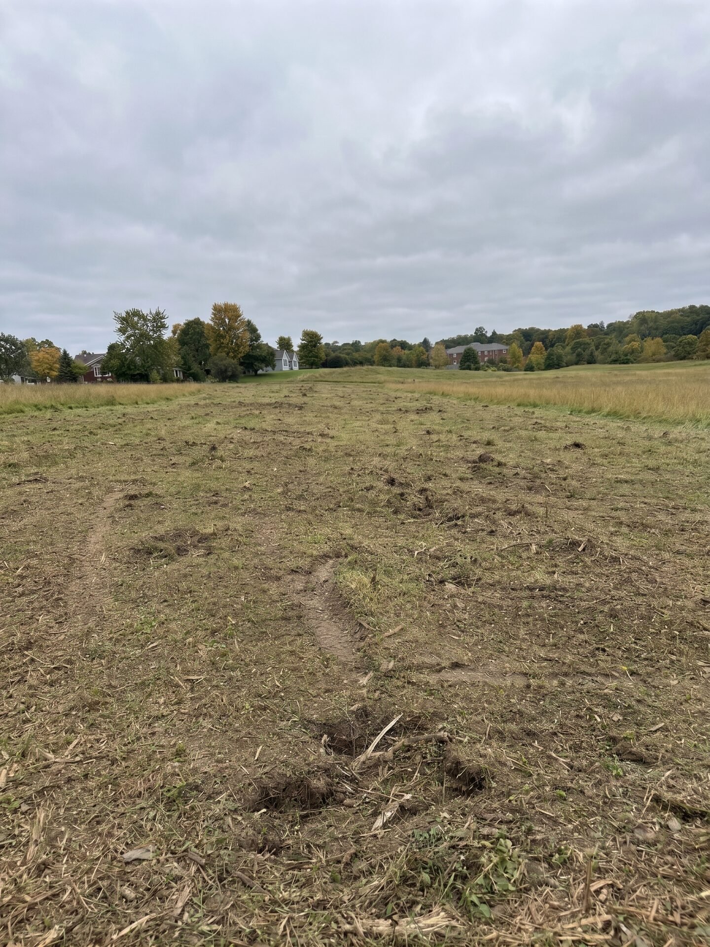 Forestry Mulching maintained