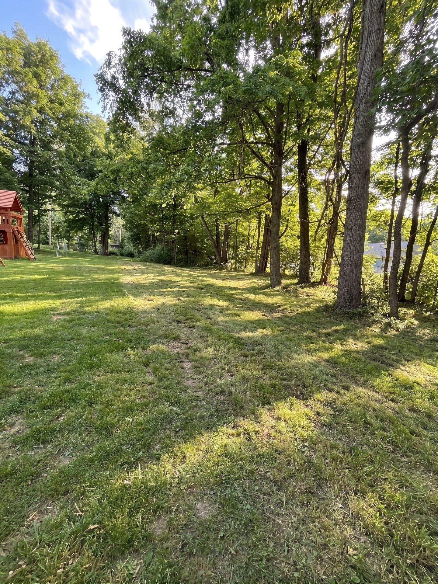 Forestry Mulching maintained